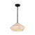 manufacturer_finish:Matte Black/Opal Glass