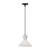 manufacturer_finish:Matte Black/Opal Glass