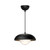 manufacturer_finish:Matte Black/Opal Matte Glass