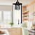 manufacturer_finish:Clear Water Glass/Matte Black