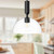 manufacturer_finish:Clear Glass/Matte Black