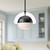 manufacturer_finish:Matte Black/Opal Matte Glass