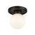 manufacturer_finish:Matte Black/Glossy Opal Glass