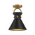 manufacturer_finish:Aged Gold/Matte Black|manufacturer_glass:Unspecified