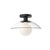 manufacturer_finish:Clear Glass/Matte Black