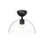 manufacturer_finish:Clear Glass/Matte Black