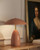 manufacturer_finish:Peach|manufacturer_glass:Steel Shade