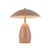 manufacturer_finish:Peach|manufacturer_glass:Steel Shade