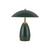 manufacturer_finish:Pine Green|manufacturer_glass:Steel Shade