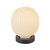 manufacturer_finish:Matte Black/Glossy Ribbed Opal Glass