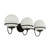 manufacturer_finish:Matte Black/Opal Glass