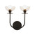 manufacturer_finish:Matte Black/Clear Glass