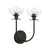 manufacturer_finish:Matte Black/Clear Glass