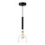 manufacturer_finish:Black/Clear/Unspecified|manufacturer_glass:Clear Glass|blade_span:Unspecified|light_source:LED|light_output:1080.00lm|color_temperature:3000K|cri:90|voltage:120.00V|fan_control:Unspecified|crystal:Unspecified