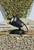 Kichler - 15191BK - One Light Underwater - Black Material (Not Painted)