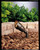 manufacturer_finish:Textured Architectural Bronze