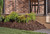 LED Path & Spread (15410AZT)