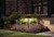 LED Path & Spread (15410AZT)