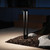 LED Path LIght (15844BKB)