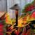 manufacturer_finish:Textured Architectural Bronze|color_temperature:2700K