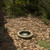 Landscape Led LED Inground (16023CBR30)