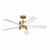 Brahm 48"Ceiling Fan (300048NBR)