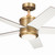 Brahm 48"Ceiling Fan (300048NBR)