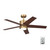 Brahm 48"Ceiling Fan (300048NBR)
