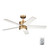 Brahm 48"Ceiling Fan (300048NBR)
