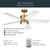Brahm 48"Ceiling Fan (300048NBR)
