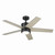 Brahm 48"Ceiling Fan (300048SBK)