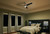 Zeus 60"Ceiling Fan (300060PN)