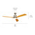 Ridley Ii 60" Ceiling Fan (300075BSS)