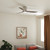 Volos 54" Ceiling Fan (300154NI)