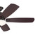 Crescent 56"Ceiling Fan (300325OZ)