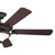 Rise 60"Ceiling Fan (300370OZ)