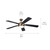 Humble 60"Ceiling Fan (300415CHZ)