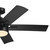 Tide 52"Ceiling Fan (310126SBK)