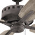 Eads 52"Ceiling Fan (310152WZC)