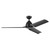 Fit 54"Ceiling Fan (310254SBK)