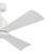 TRUE 52"Ceiling Fan (310452WH)