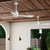 TRUE 52"Ceiling Fan (310452WH)