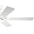 Basics Pro Designer 52"Ceiling Fan (330019MWH)