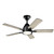 Arvada 44"Ceiling Fan (330090SBK)