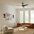 Almere 56"Ceiling Fan (330130NBR)