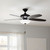 Renew Select 52"Ceiling Fan (330161SBK)