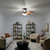 Renew Premier 52"Ceiling Fan (330162OBB)