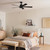 Lucian II 52"Ceiling Fan (330242SBK)
