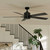 Lucian II 60"Ceiling Fan (330243SBK)