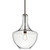 manufacturer_finish:Olde Bronze|manufacturer_glass:Clear
